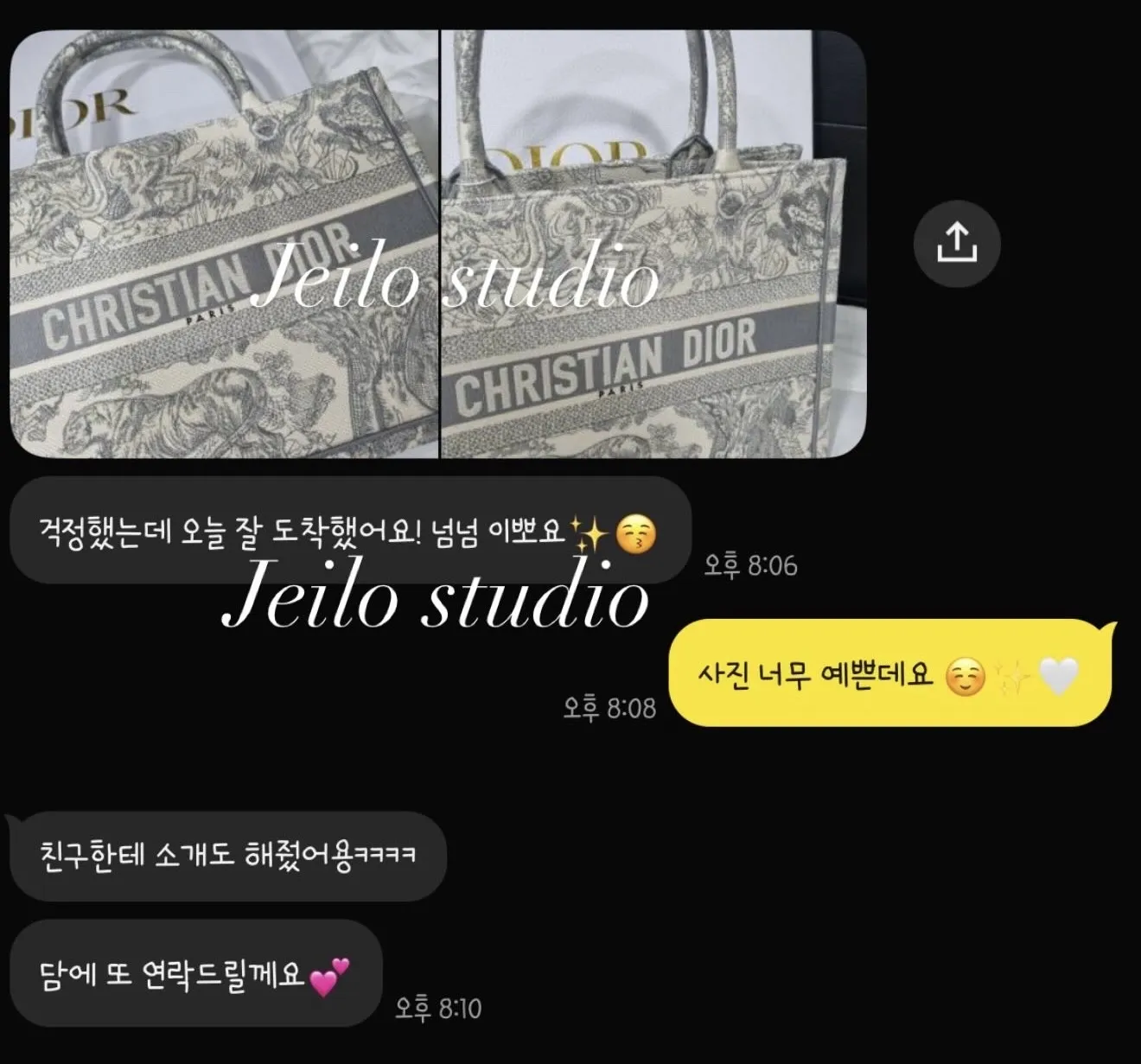 디올 뜨왈드주이 북토트 미듐 그레이