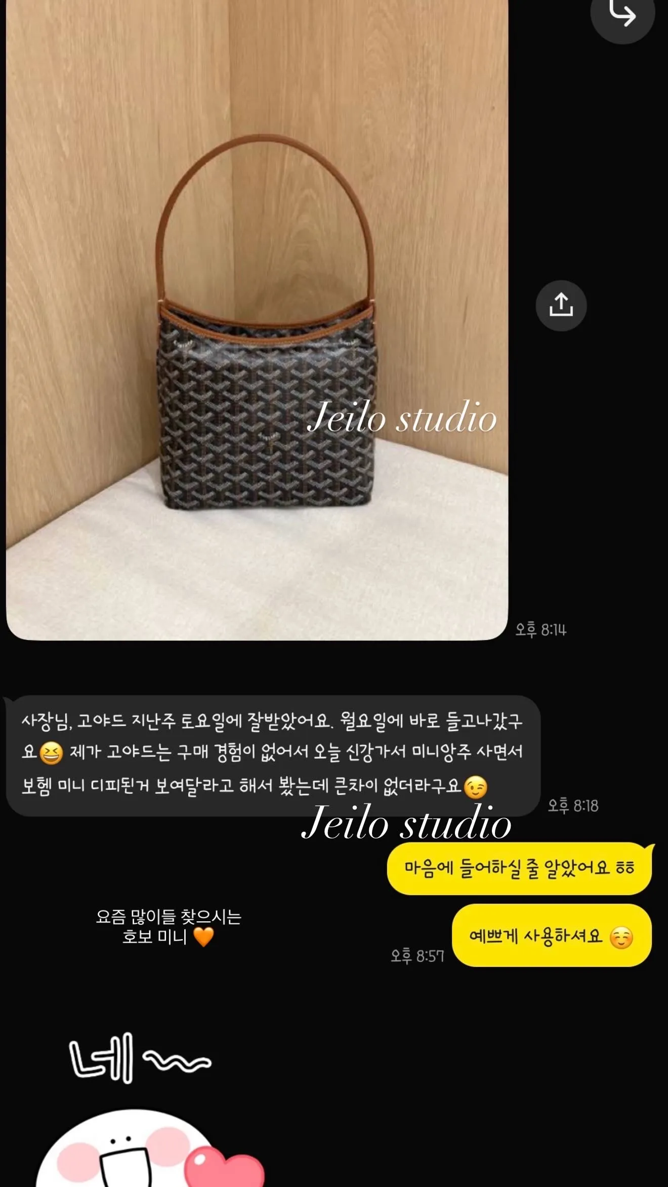 고야드 미니호보 블랙탄